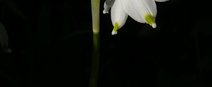 我们回不去的青春(129句),第2张 我们回不去的青春(129句),第2张