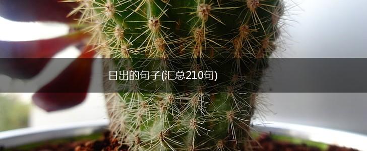 日出的句子(汇总210句),第1张