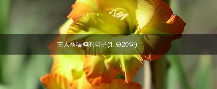 主人翁精神的句子(汇总20句),第1张