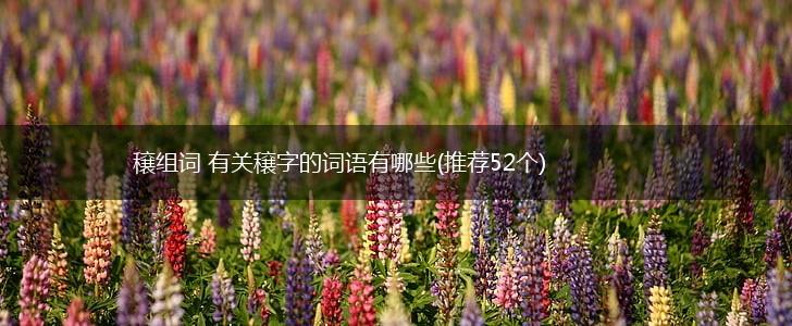 穣组词 有关穣字的词语有哪些(推荐52个),第1张