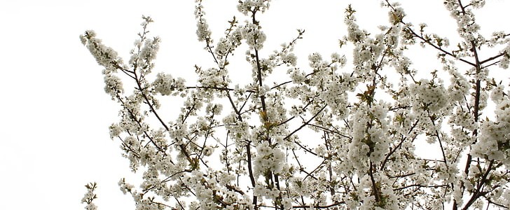 开心快乐的句子(必备150句),第3张