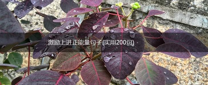 激励上进正能量句子(实用200句),第1张