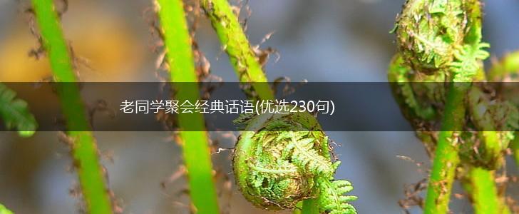 老同学聚会经典话语(优选230句),第1张