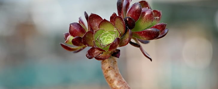 缅怀逝者的句子(共170句),第2张