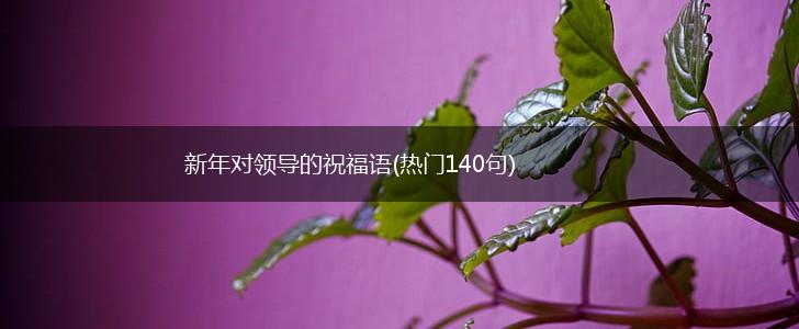 新年对领导的祝福语(热门140句),第1张