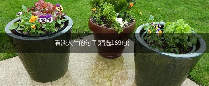 看淡人生的句子(精选169句),第1张