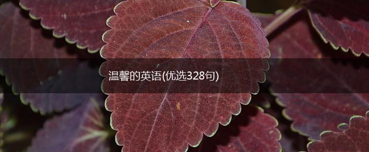 温馨的英语(优选328句),第1张