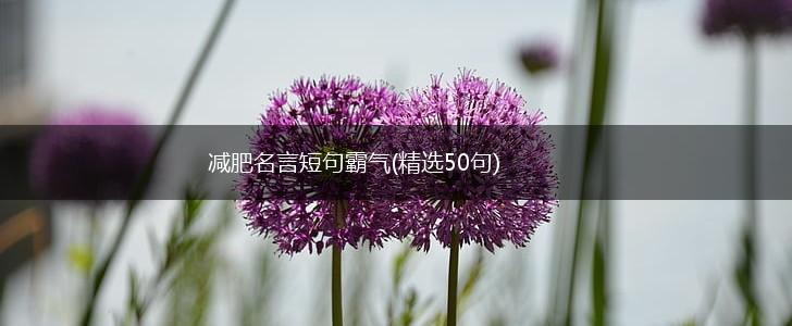 减肥名言短句霸气(精选50句),第1张