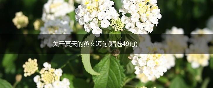 关于夏天的英文短句(精选49句),第1张
