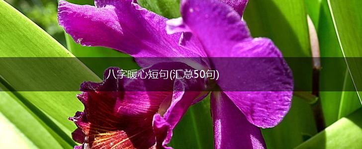 八字暖心短句(汇总50句),第1张 八字暖心短句(汇总50句),第1张