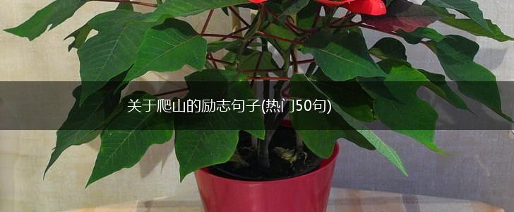 关于爬山的励志句子(热门50句),第1张