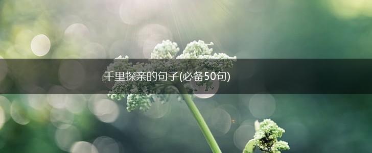 千里探亲的句子(必备50句),第1张