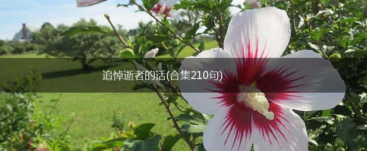 追悼逝者的话(合集210句),第1张