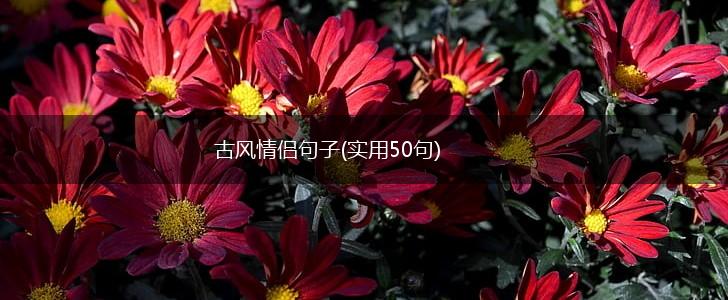 古风情侣句子(实用50句),第1张