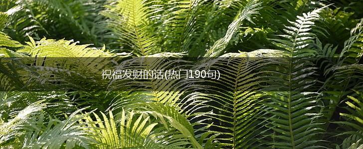祝福发财的话(热门190句),第1张