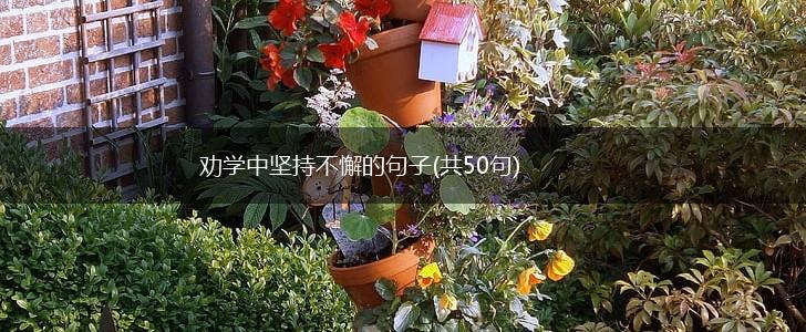 劝学中坚持不懈的句子(共50句),第1张