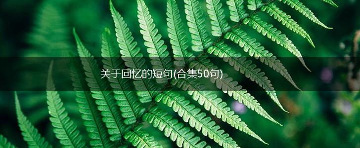 关于回忆的短句(合集50句),第1张