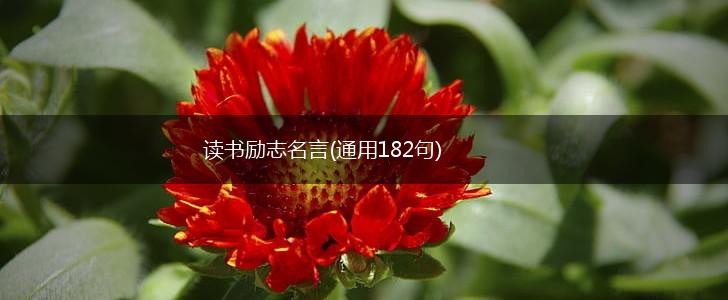 读书励志名言(通用182句),第1张