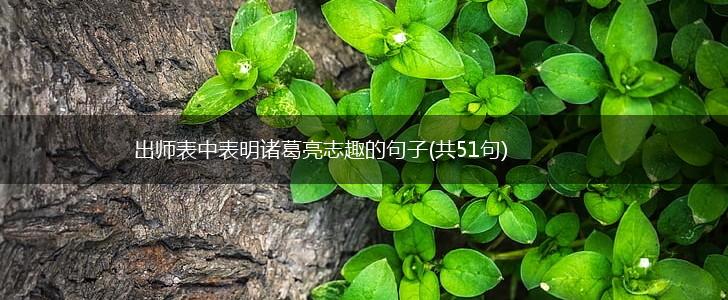 出师表中表明诸葛亮志趣的句子(共51句),第1张