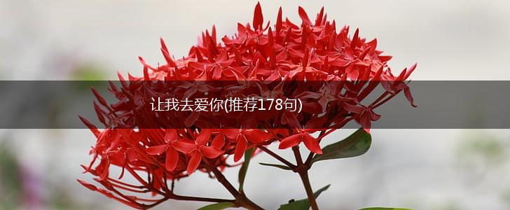 让我去爱你(推荐178句),第1张