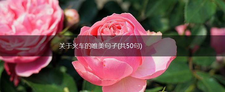 关于火车的唯美句子(共50句),第1张