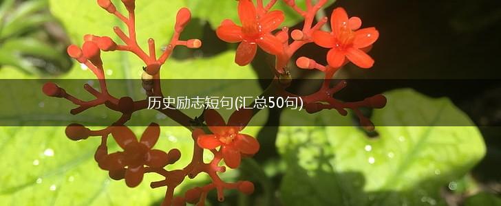 历史励志短句(汇总50句),第1张