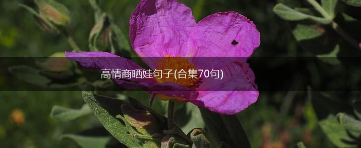 高情商晒娃句子(合集70句),第1张