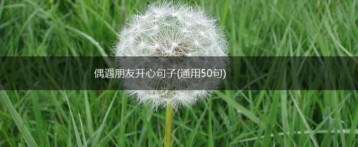偶遇朋友开心句子(通用50句),第1张