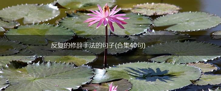 反复的修辞手法的句子(合集40句),第1张