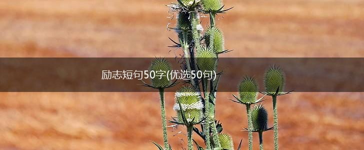 励志短句50字(优选50句),第1张