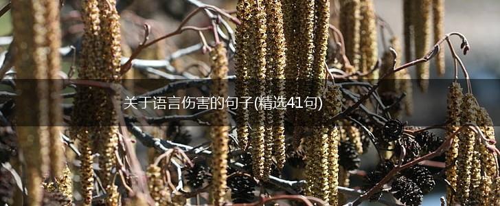 关于语言伤害的句子(精选41句),第1张