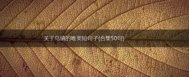 关于乌镇的唯美短句子(合集50句),第1张