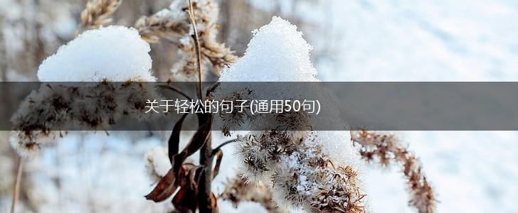 关于轻松的句子(通用50句),第1张
