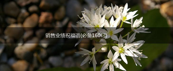 销售业绩祝福语(必备160句),第1张