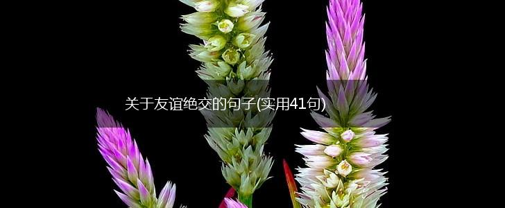 关于友谊绝交的句子(实用41句),第1张