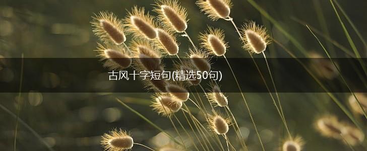 古风十字短句(精选50句),第1张