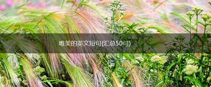 唯美的英文短句(汇总50句),第1张