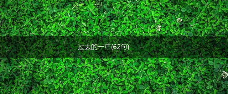 过去的一年(62句),第1张