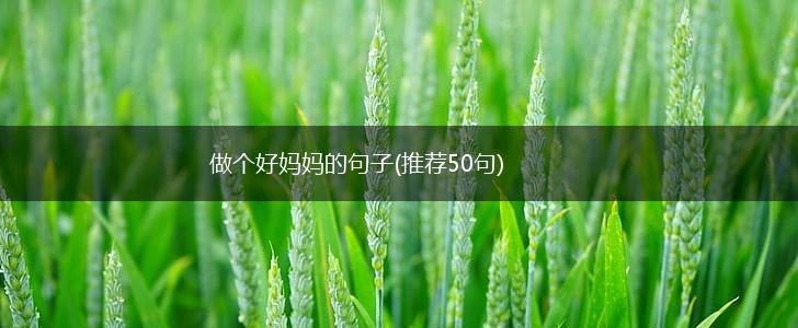做个好妈妈的句子(推荐50句),第1张