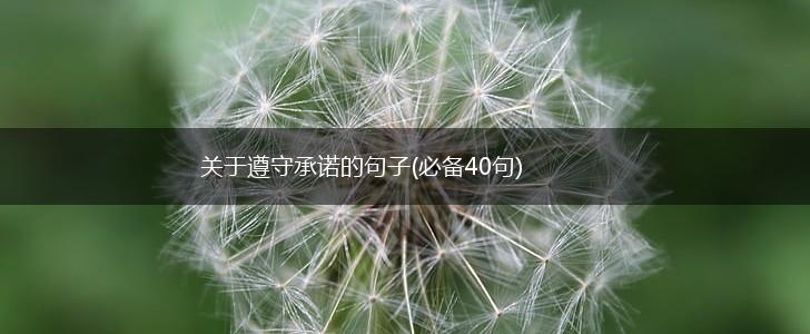 关于遵守承诺的句子(必备40句),第1张