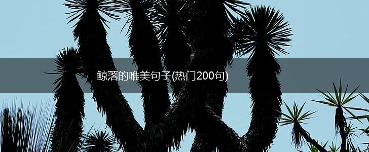 鲸落的唯美句子(热门200句),第1张