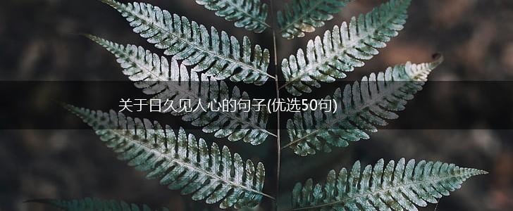 关于日久见人心的句子(优选50句),第1张