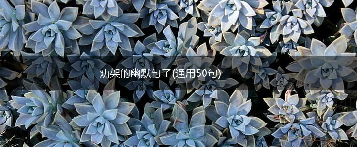 劝架的幽默句子(通用50句),第1张 劝架的幽默句子(通用50句),第1张
