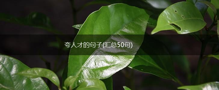 夸人才的句子(汇总50句),第1张