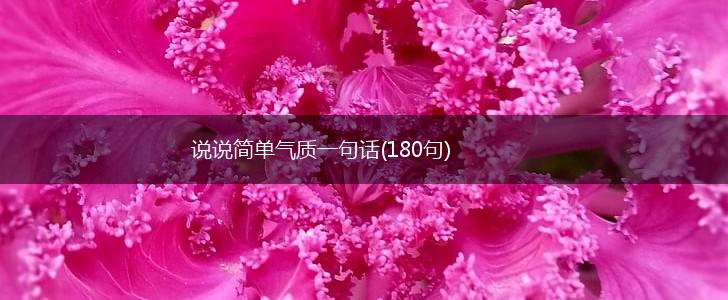说说简单气质一句话(180句),第1张