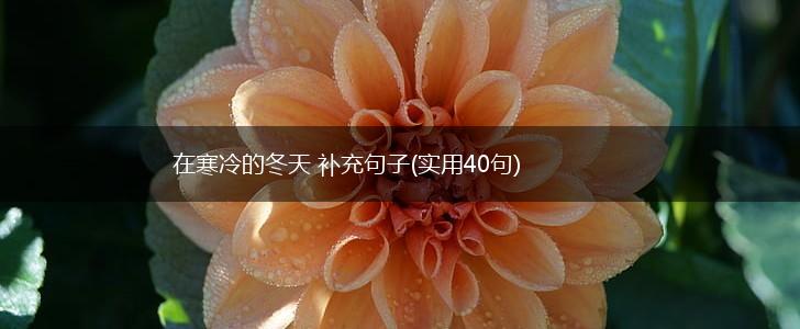 在寒冷的冬天 补充句子(实用40句),第1张