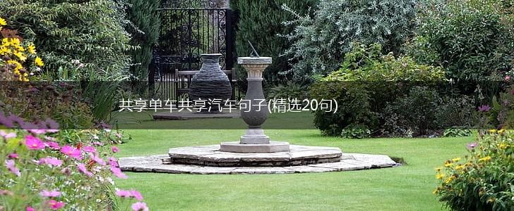 共享单车共享汽车句子(精选20句),第1张