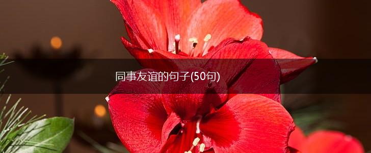 同事友谊的句子(50句),第1张