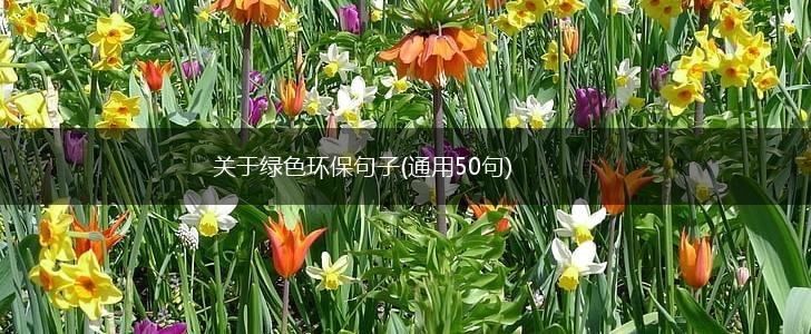 关于绿色环保句子(通用50句),第1张