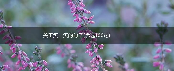 关于笑一笑的句子(优选100句),第1张
